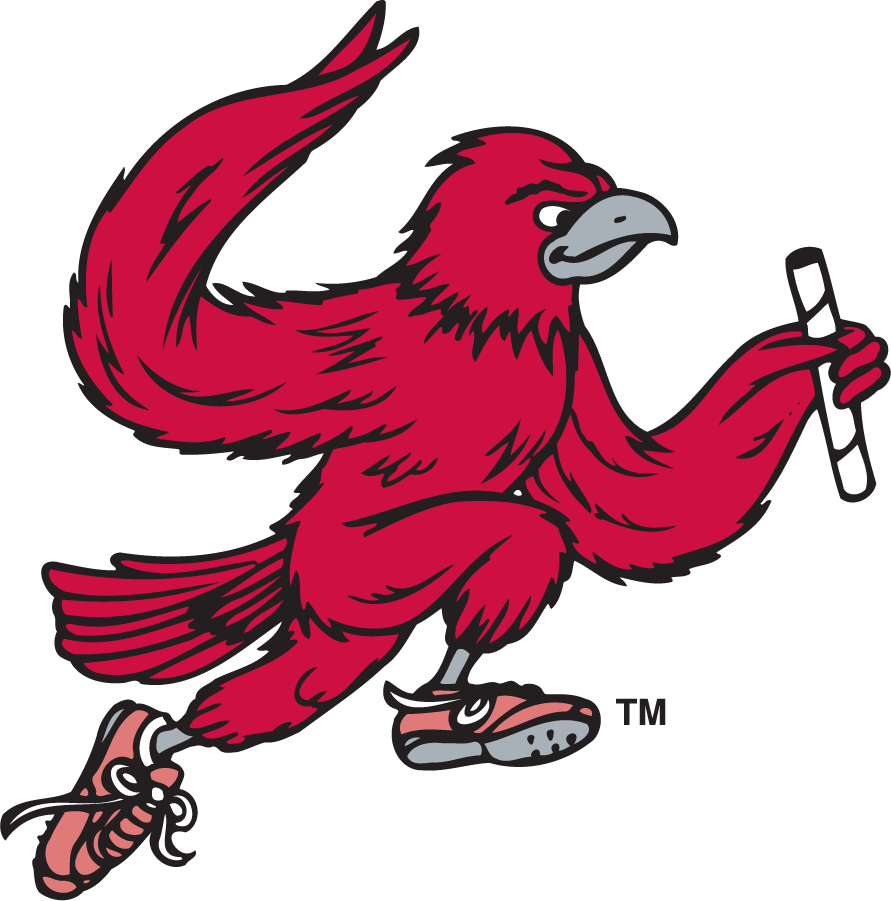 St. Joseph's Hawks 1995-2002 Secondary Logo v6 diy DTF decal sticker